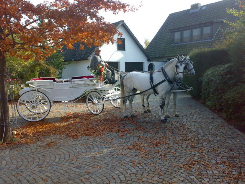 hochzeitskutsche-Landauer-Herbst-1-830x623